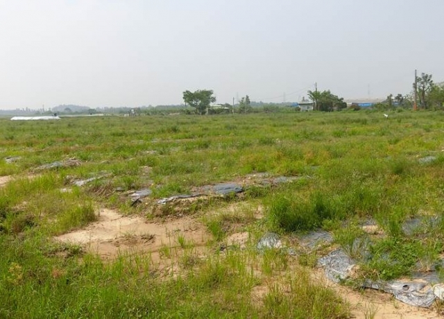 迎台商回流 台糖釋地增設九產業園區