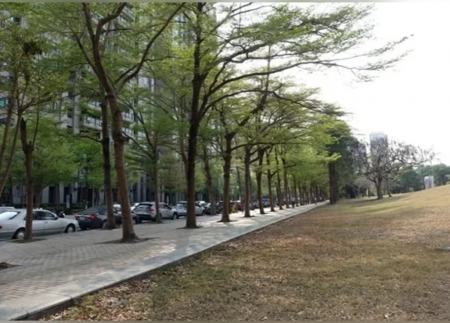 環狀輕軌美術館大順路段 環差初審過關