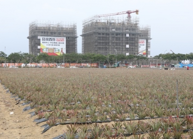 沾邊南科歸仁新屋大賣 全面站穩2字頭