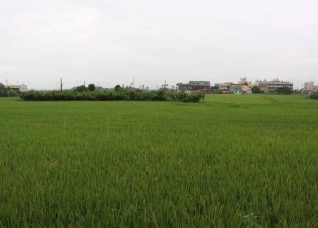 買農地眉角多 少了這步小心被課稅