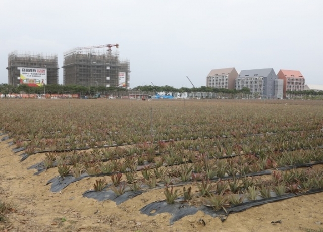 南科加沙崙科學城　歸仁高鐵土地單價年漲逾6萬