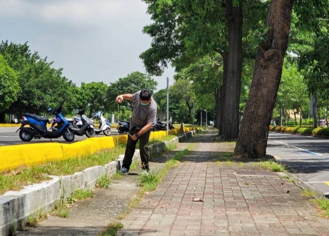 高市3億打造1.8公里「綠道路」 衛武營特商區11月率先動工