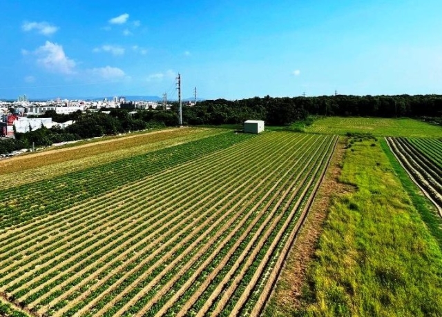 農地違規非作農業使用下場出爐！等著補繳高額地價稅