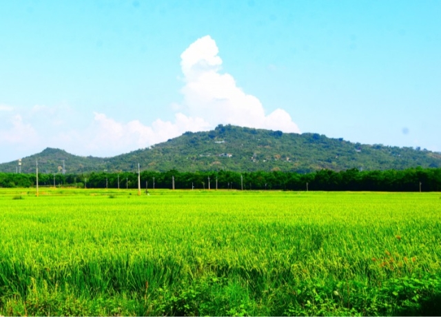 北高雄產業園區最後1波招商 8月下旬開放承租登記
