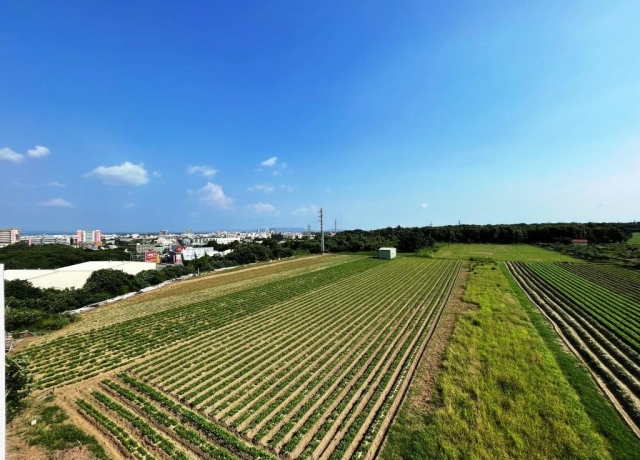 國土計畫實施前農地工業地交易熱 搶地卡位戰開打