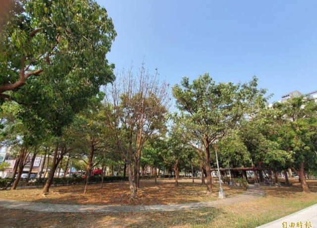 高雄今年將投入15.6億改善易淹水地區 增1座滯洪池