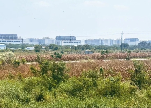 南科帶動農地飆漲 出現億萬農民