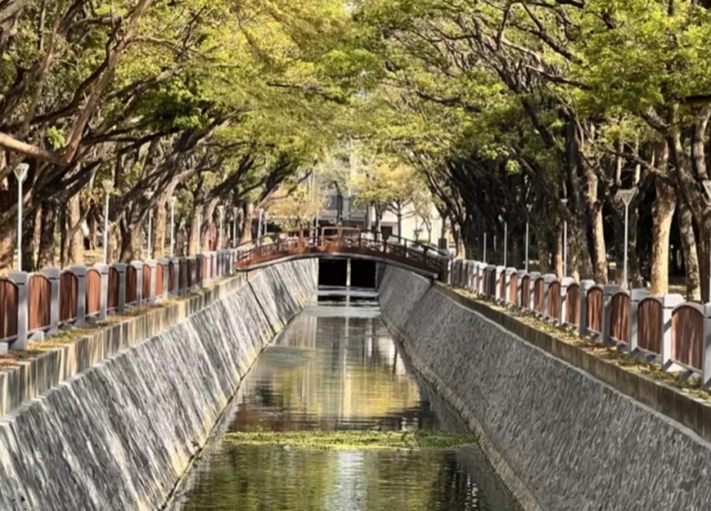 右昌大排水岸改造！高雄最美雨豆樹公園升級為網美秘境