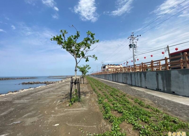 高雄打造市境之南海岸廊道 明年6月完工