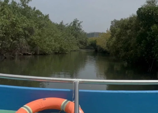 四草綠色隧道旁建渡假村衝擊環境 南市府：把關旅館登記證