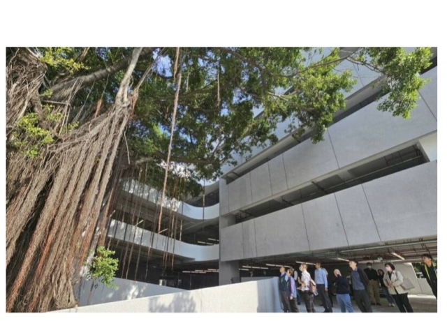 台南立體停車場+1!保留老樹「停E8」造價逾2億 明年1月開放