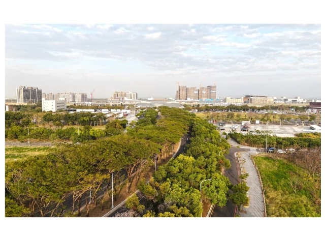 萬坪林蔭大道加持 台南高鐵特區公園綠景宅夯