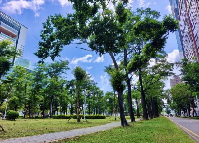 亞灣新光園道改造8月底完工 高市工務局：連結捷運、輕軌的綠色通道