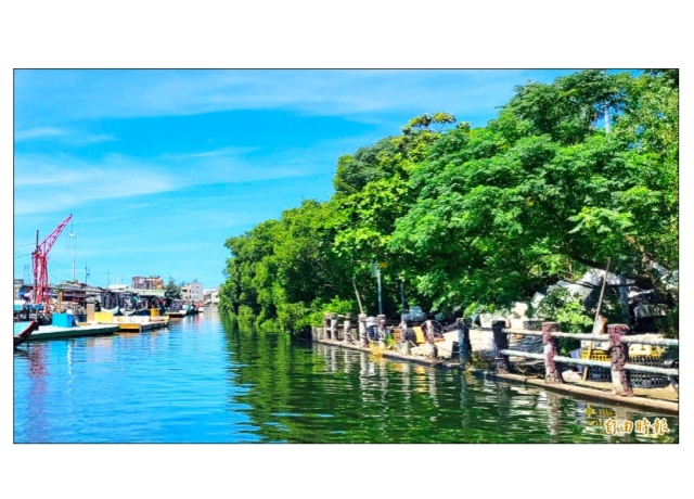 台南四鯤鯓河道開放 賞紅樹林探秘境