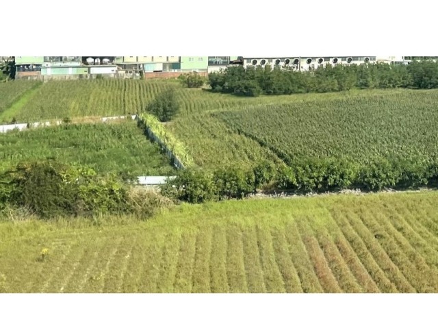 重啟公地放領!政院核定地價計算標準 「這區」326筆開放申請