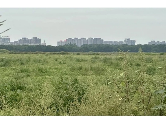 傳台積電1.2奈米製程預定地的沙崙生態科學園區開發案 預計4月送環評