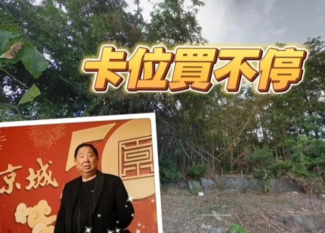 卡橋科願景無限好 京城董娘再投6.98億元買近4200坪地
