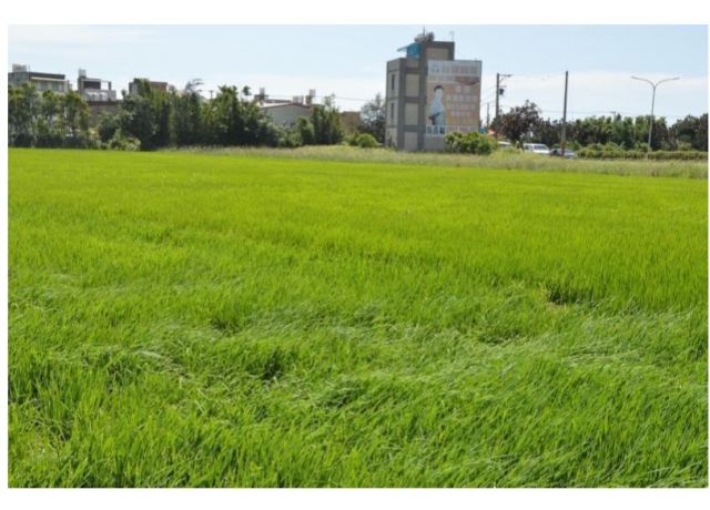 地主必看!農一不只是特農區 縣府揭密國土功能分區:「這幾類」都納入