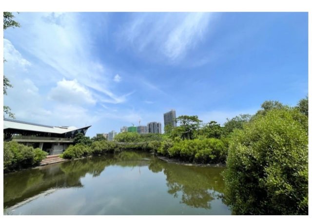 高市三民區15年人口流失逾2.6萬人 三大熱門生活圈擁綠地、商圈 房價有撐