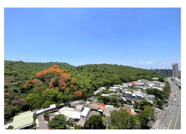 柴山與半屏山綠景無敵 大美術館生活圈綠景輕豪宅 3字頭優惠價搶自住客