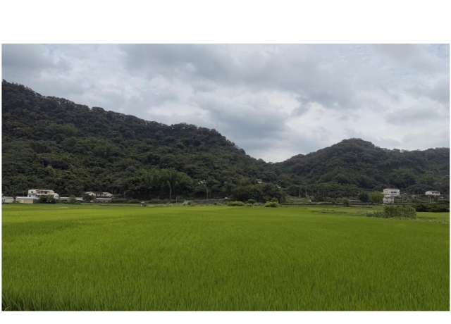 農地違規難逃衛星監控!「這些行為」一查就抓 最高罰30萬還丟稅率優惠