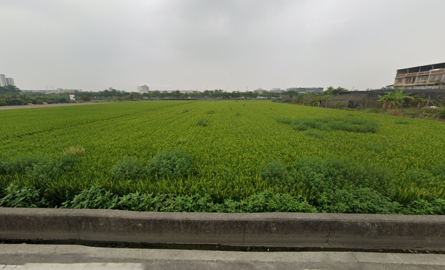 CLS24066照片 (2)
