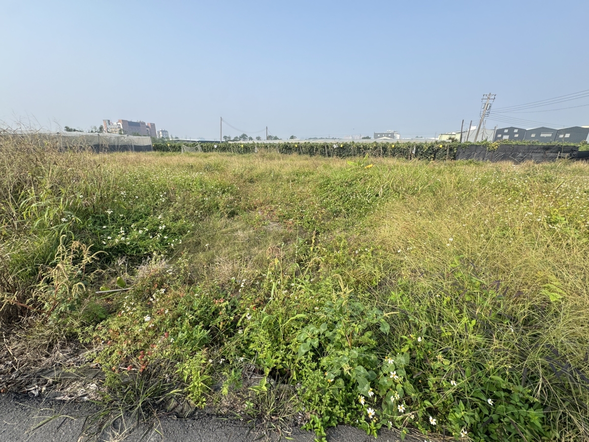 ALS25018-照片 (10)