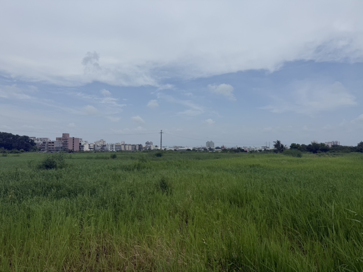 GLS25031 仁德都內農地 照片 (1)