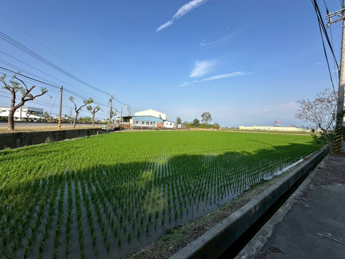 GLS26009 新營角窗農地 照片(1)