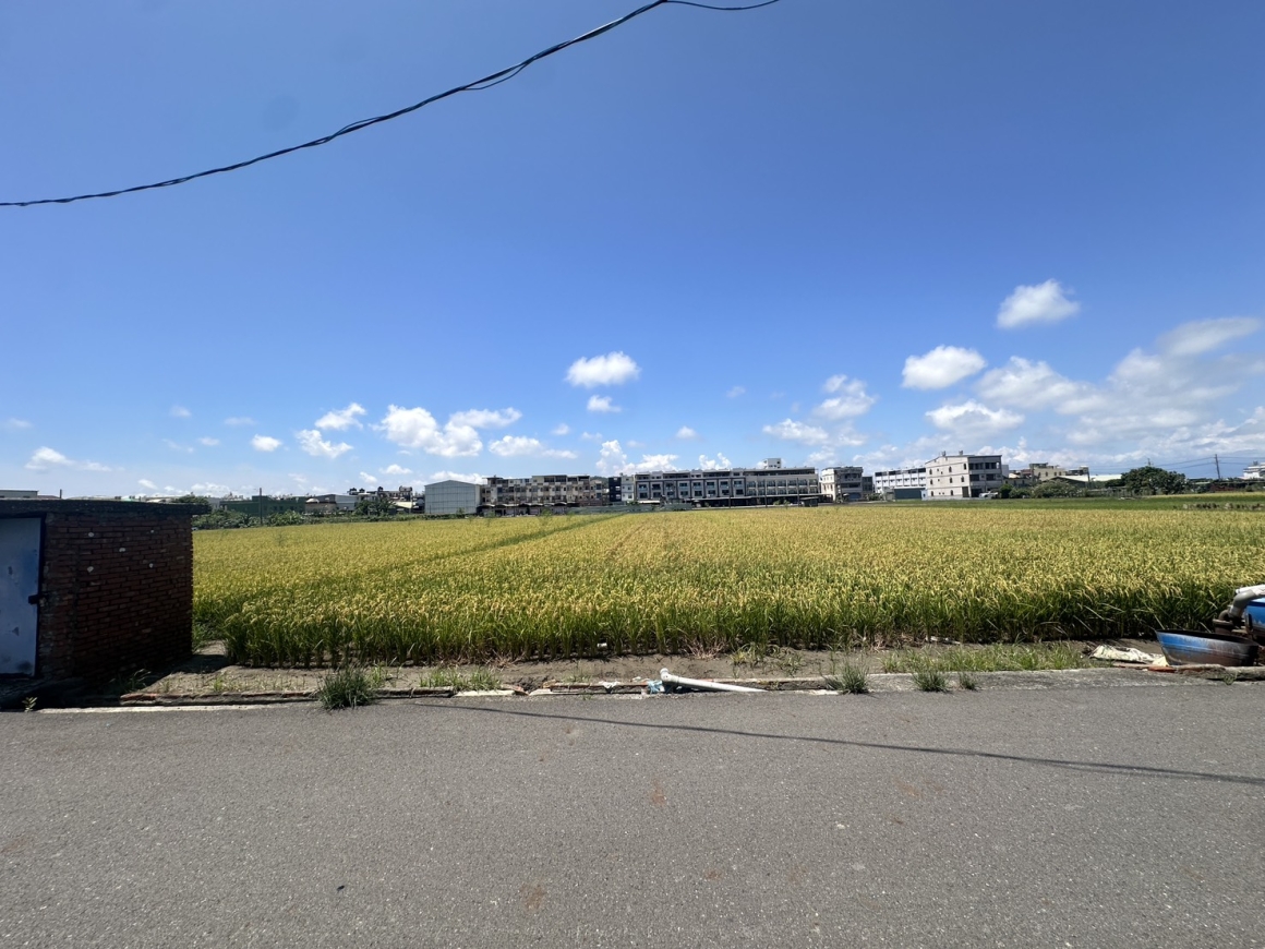 CLS26071照片1