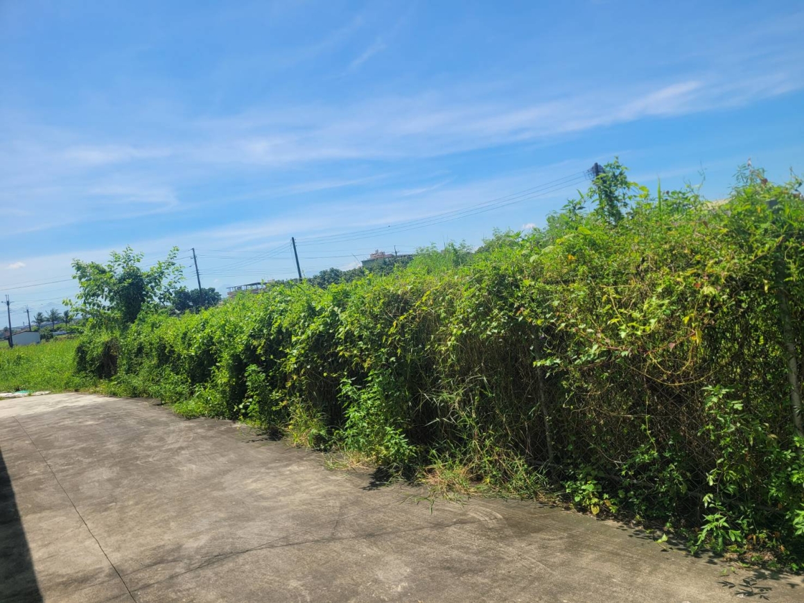 GLS26042 台南高鐵建地 照片(1)