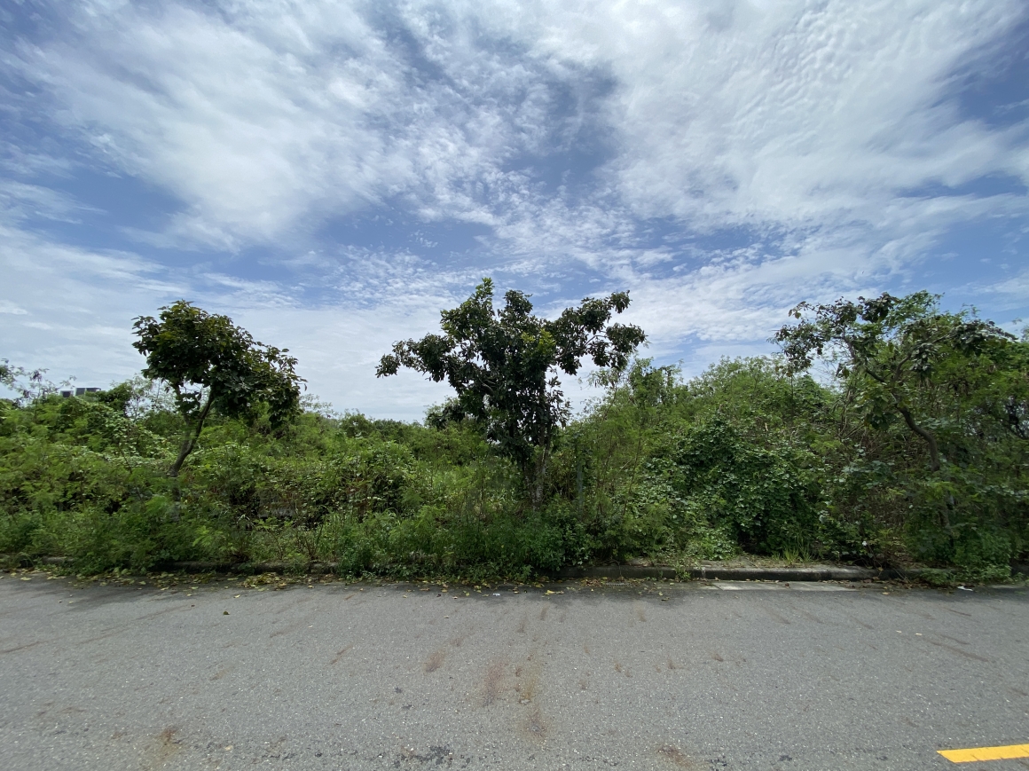 GLS26044 鹽行國中方正建地 照片(1)