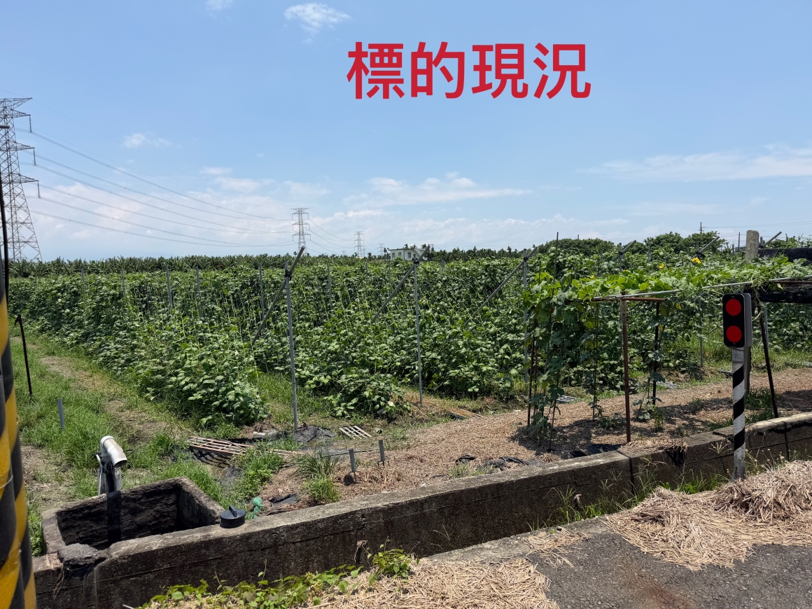 CLS26100照片1