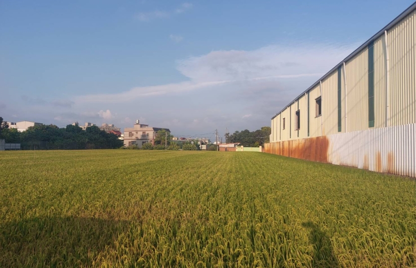 大寮永芳面寬都內農地