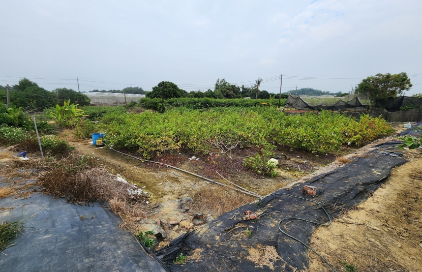 橋頭科學園區旁農地2