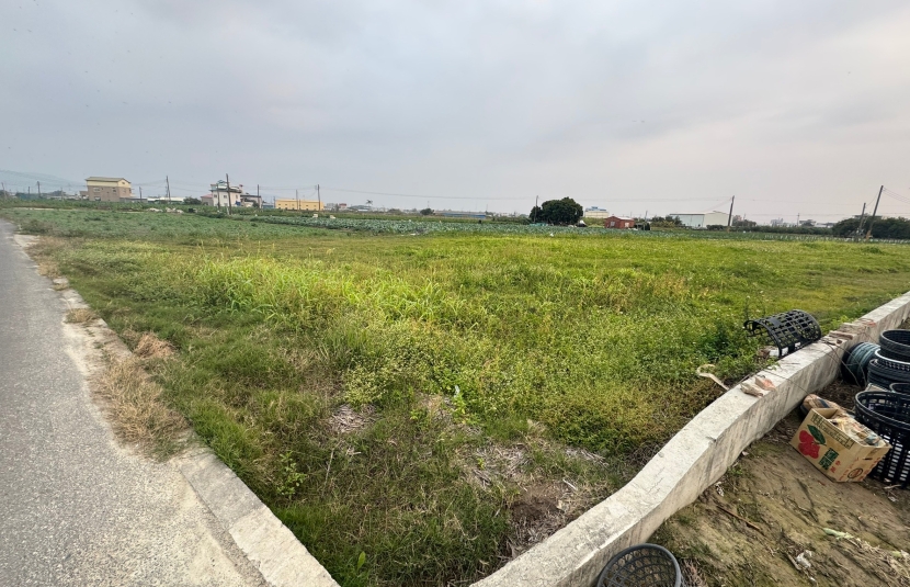 路竹近東安路千坪都內農地