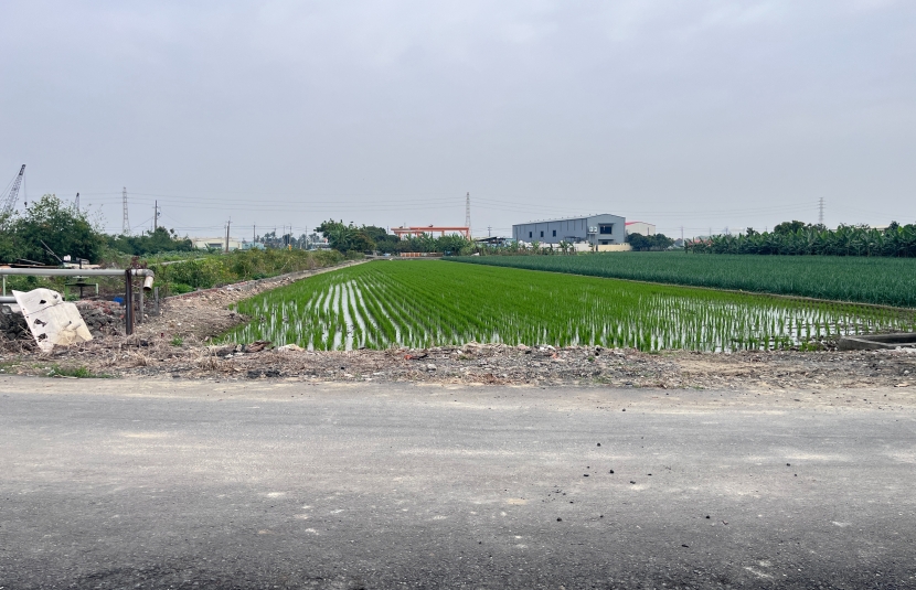 林園雙面路農地