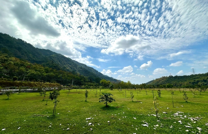 沿山公路17.8分面寬農地