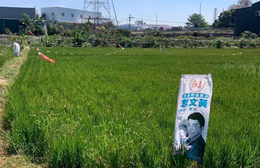 八德二路大地坪都內農地