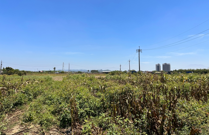 燕巢海城近橋科都內農地