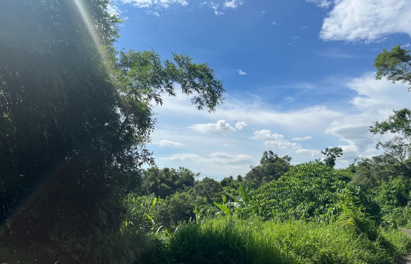 松埔北巷精華農地