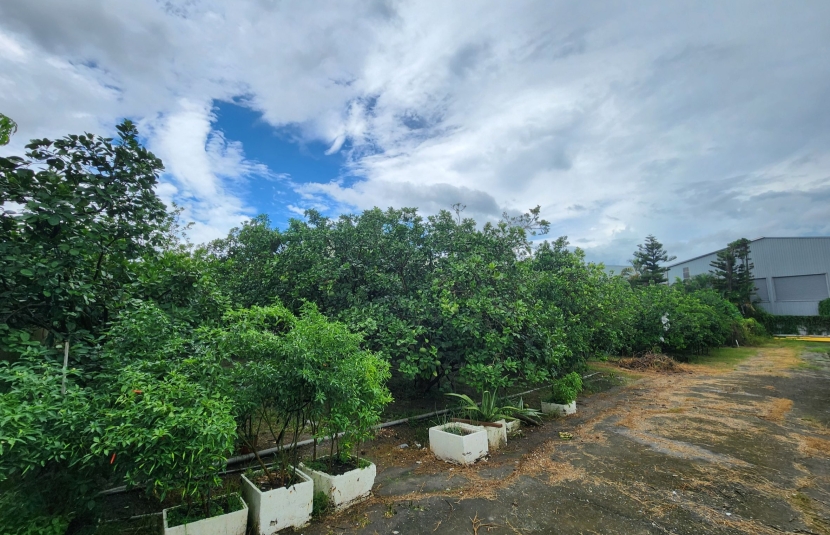 燕巢#交流道特定區計畫都內農地#售持分