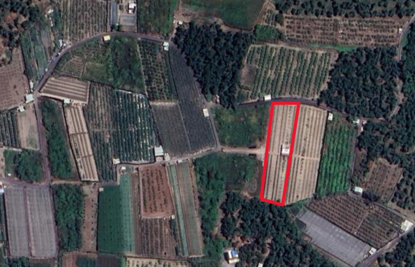 大社近中正路都內農地