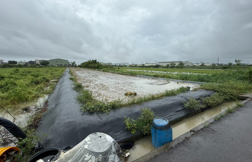 安定區新吉農地