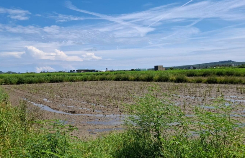 恆春鎮恆西段8米路都內農地
