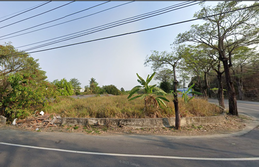 大社路角窗農地