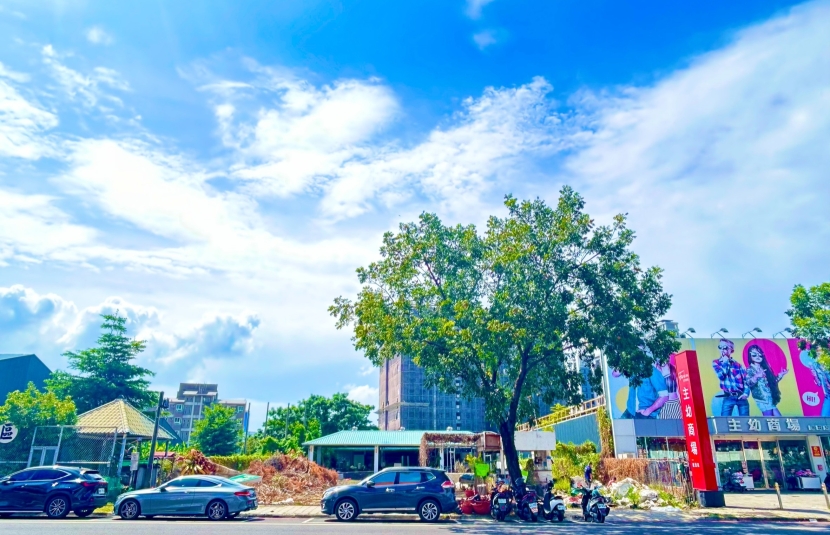 高大特區-家樂福商圈建地
