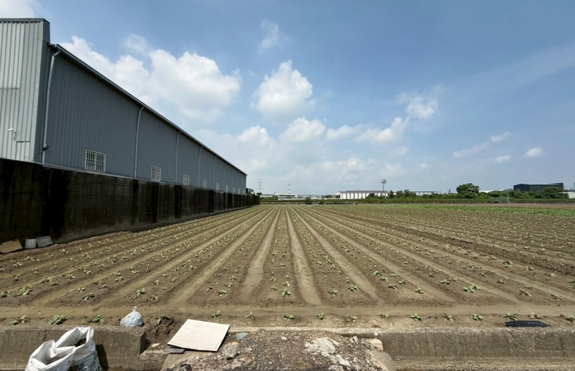 江山河堤都內農地