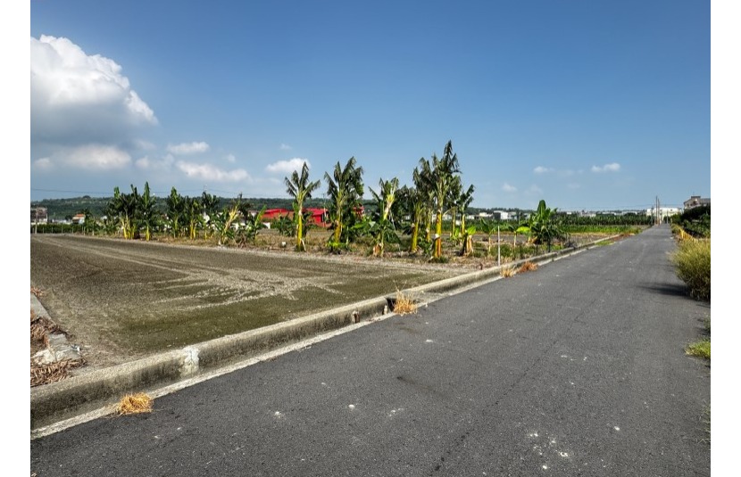 林園潭頭雙面路農地