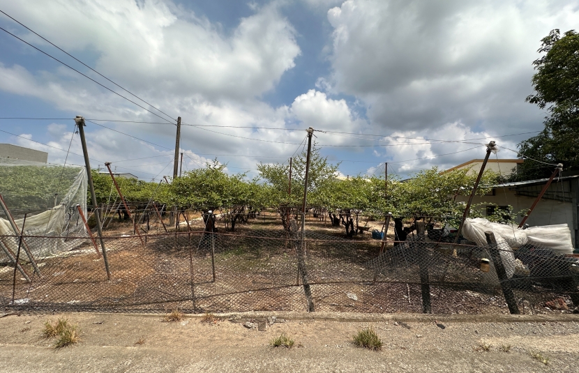 大社保甲段增值都內農地